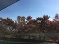 比叡山ドライブウェイの写真_688520
