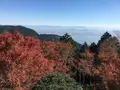 比叡山ドライブウェイの写真_688521