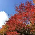 比叡山ドライブウェイの写真_688522
