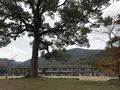 秋月城跡の写真_688671