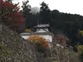 出石城下町の写真_688970