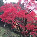 出石城下町の写真_688976