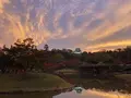 玄宮園の写真_689385