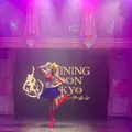 Pretty Guardian Sailor Moon - SHINING MOON TOKYOの写真_691193