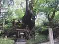 来宮神社の写真_694201