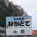 お食事処 ながどての写真_694515