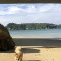 古宇利島の写真_696776