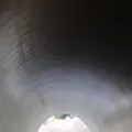 ミホミュージアム（バス）の写真_697406