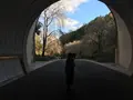 ミホミュージアム（バス）の写真_697413