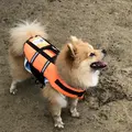サーフサイド ベッド アンド ブレックファストの写真_697523