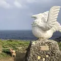辺戸岬の写真_697720