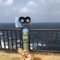辺戸岬の写真_697721