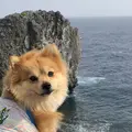 辺戸岬の写真_697722