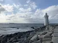 恋路ヶ浜の写真_697949