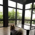 カフーリゾートフチャク コンドホテルの写真_698073