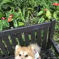 カフーリゾートフチャク コンドホテルの写真_698074