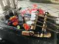 熊野大社の写真_700255