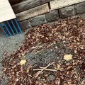 熊野大社の写真_700258