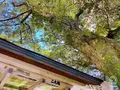 那谷寺の写真_700847