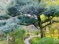 那谷寺の写真_700851