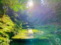 那谷寺の写真_700859