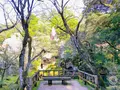 那谷寺の写真_700881