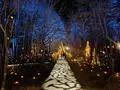 軽井沢高原教会の写真_700911