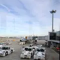 成田空港第1ターミナル第4サテライト ANA DUTY & TAX FREE SHOPの写真_702605