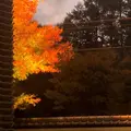 桜庵 TREATMENT & SPAの写真_704338