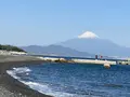 三保の松原の写真_704935