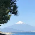 三保の松原の写真_704936