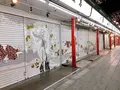 浅草寺の写真_705031