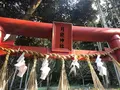 月讀神社の写真_706341