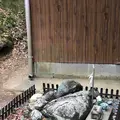 月讀神社の写真_706347