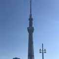 東京スカイツリーの写真_707031