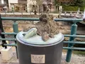 玉造温泉の写真_707504