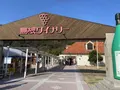 島根ワイナリーの写真_707684
