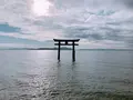 白鬚神社の写真_708430