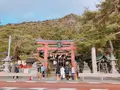 白鬚神社の写真_708431
