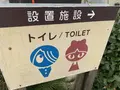 水木しげるロードの写真_708875