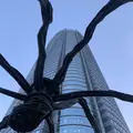六本木ヒルズの写真_708904