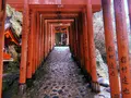 祐徳稲荷神社の写真_708925