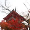 清水寺の写真_709802
