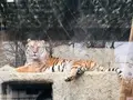 熊本市動植物園の写真_710161