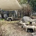 熊本市動植物園の写真_710164