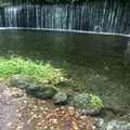 白糸の滝の写真_712601
