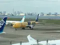 羽田空港（東京国際空港）の写真_712659
