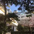 お台場海浜公園の写真_718195
