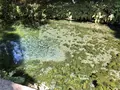白川水源の写真_719248