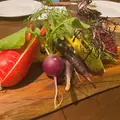 Table beet テーブルビートの写真_721205